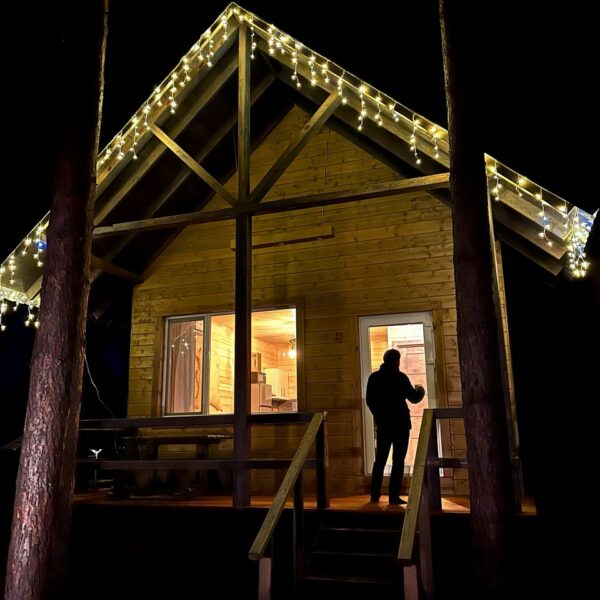 гостиница с лесом